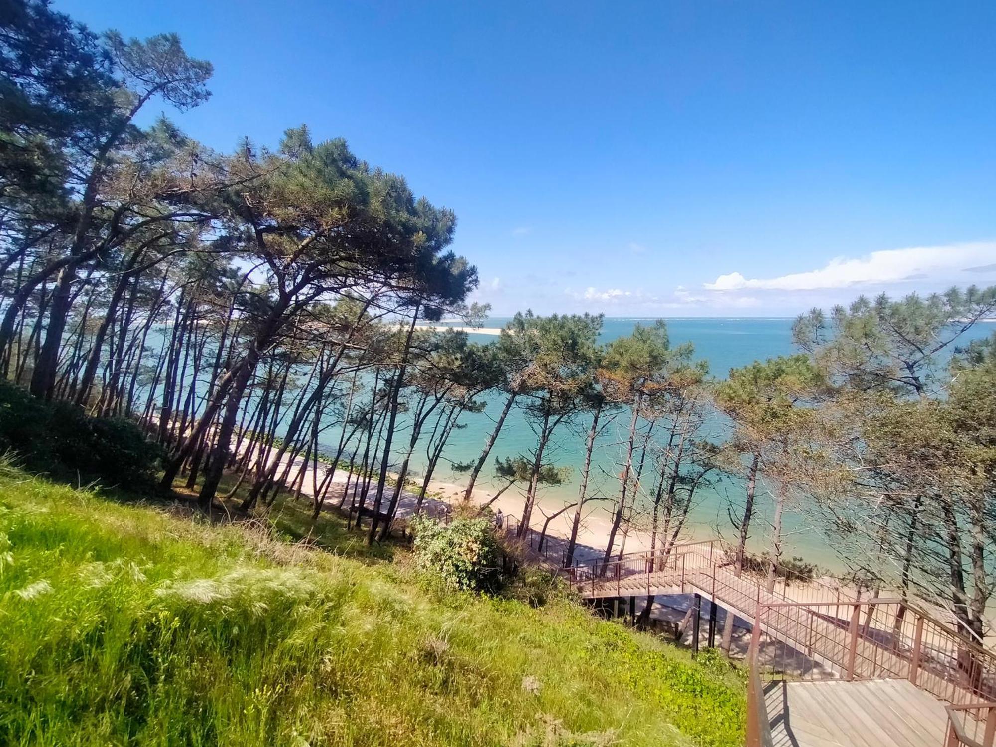 Gite Avec Piscine Et Espace Bien-Etre Partages Entre Bordeaux Et Lacanau Ocean (Adults Only) Brach Luaran gambar